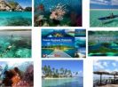 Go Indonesia :: Wakatobi The True Paradise For Divers