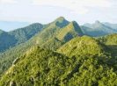 Go Indonesia :: Bukit Baka Bukit Raya The Lovely Mountain Peaks