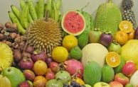 Go Indonesia :: Indonesia Fruits to Taste while Visiting the Country
