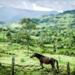Go Indonesia :: The Best Agro Tourism Destinations in West Java