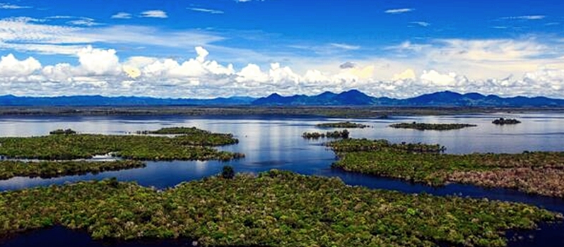 Go Indonesia :: The Exceptional Beauty Of Danau Sentarum - Go Indonesia